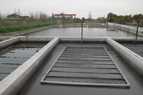 �ۺ��Ȼ��X̎���B(y��ng)ֳ�Uˮ���ķNҎ(gu��)��������